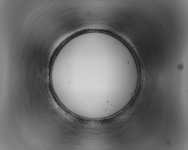 X0000115230935200911201554