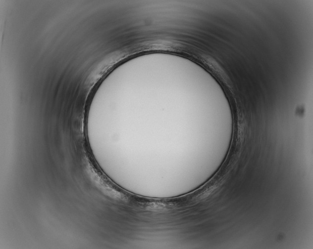 X0000115230938200911201554