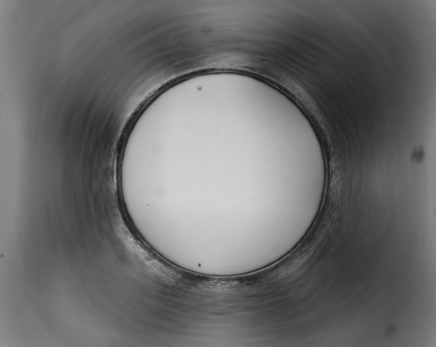 X0000115230939200911201554