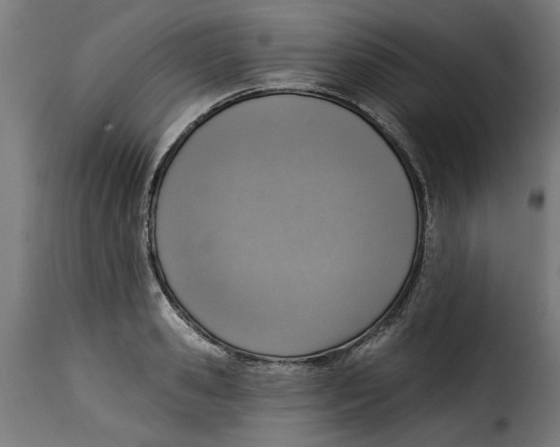 X0000115230941200911201554