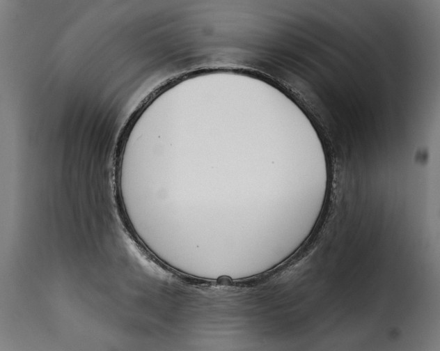 X0000115230942200911201554