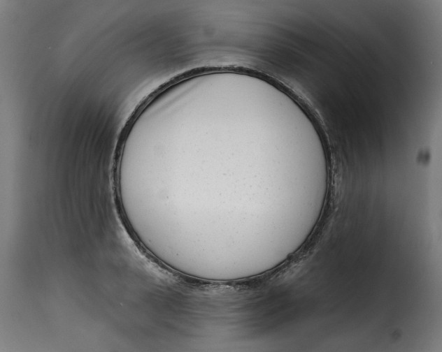 X0000115230943200911201554