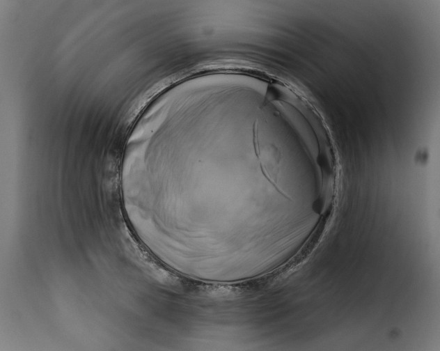 X0000115230945200911201554