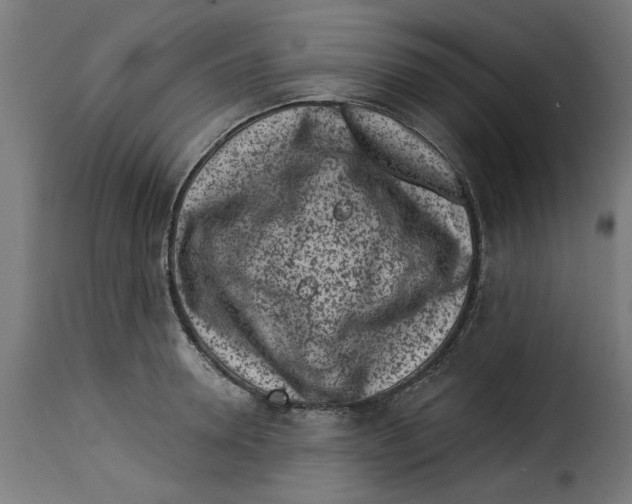 X0000115230946200911201554