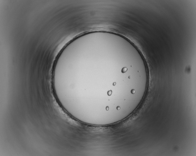 X0000115230949200911201554