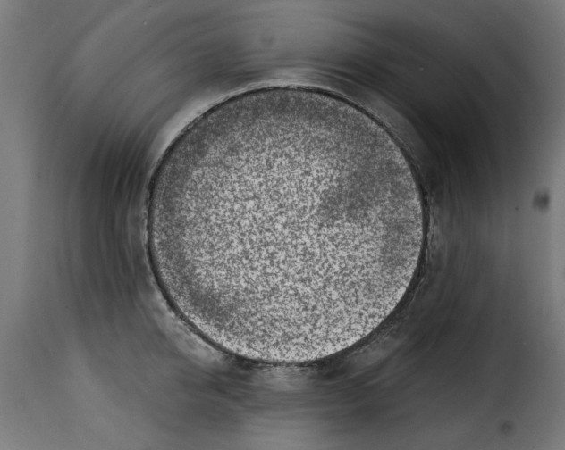 X0000115230950200911201554