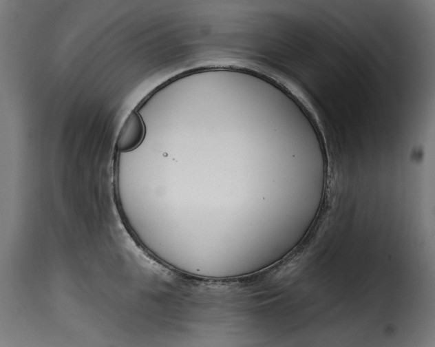 X0000115230951200911201554