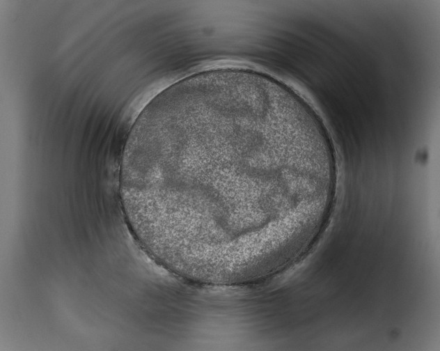 X0000115230953200911201554