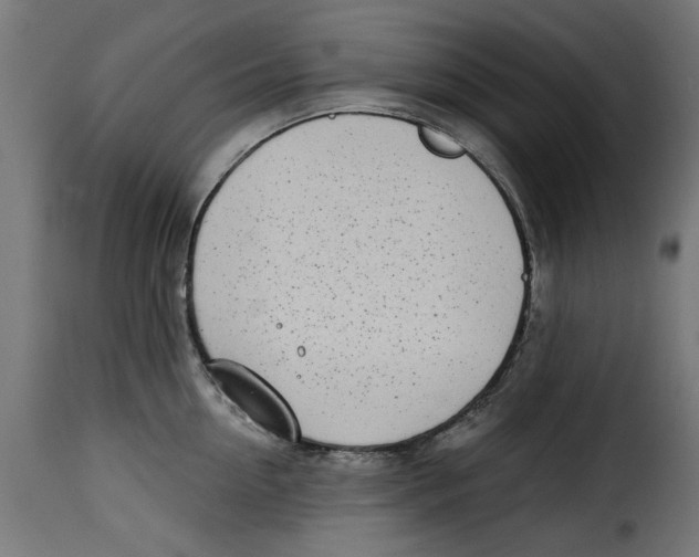 X0000115230954200911201554