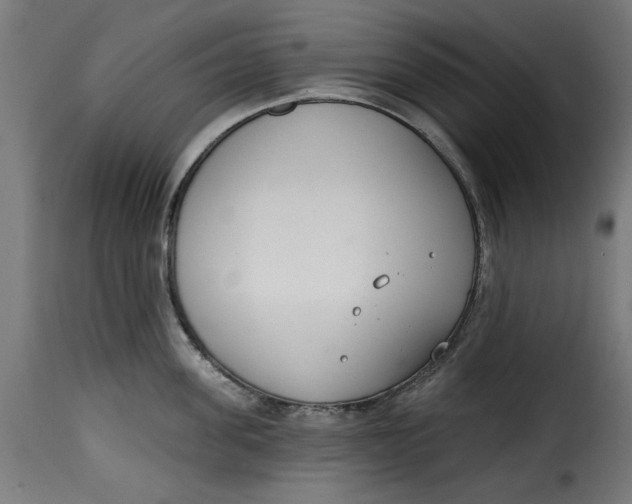 X0000115230955200911201554