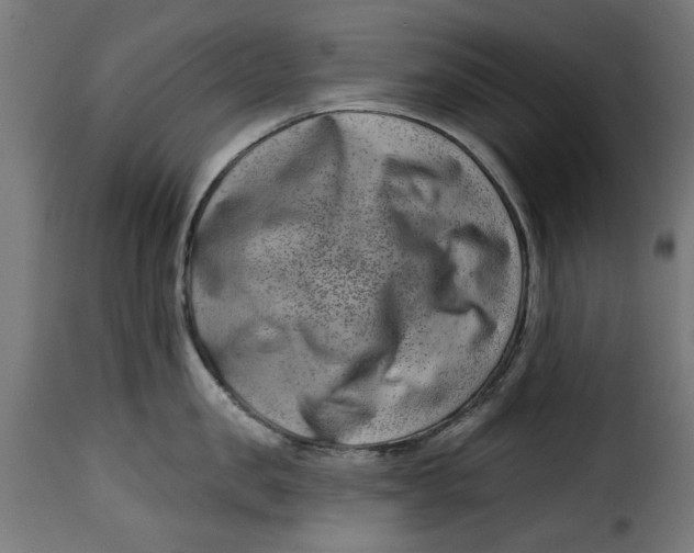 X0000115230957200911201554