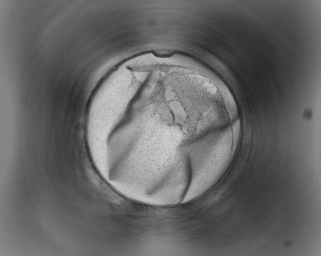 X0000115230958200911201554