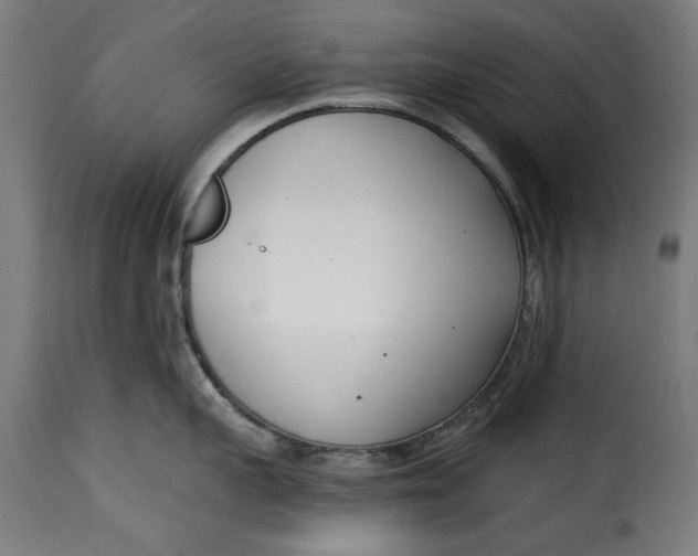 X0000115230959200911201554