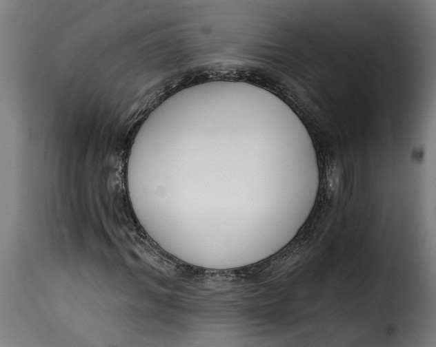 X0000115230964200911201553