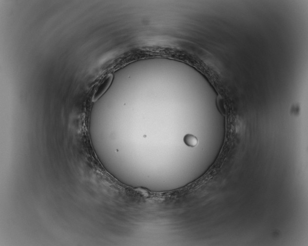 X0000115230965200911201553