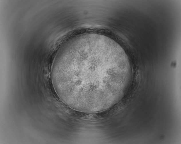 X0000115230966200911201553