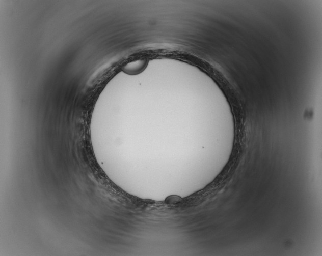 X0000115230967200911201553