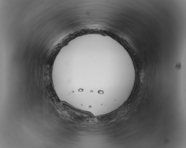 X0000115230968200911201553