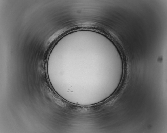 X0000115230970200911201553