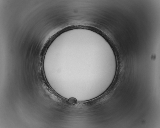 X0000115230974200911201553