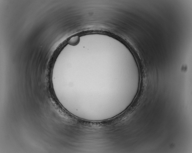 X0000115230975200911201553