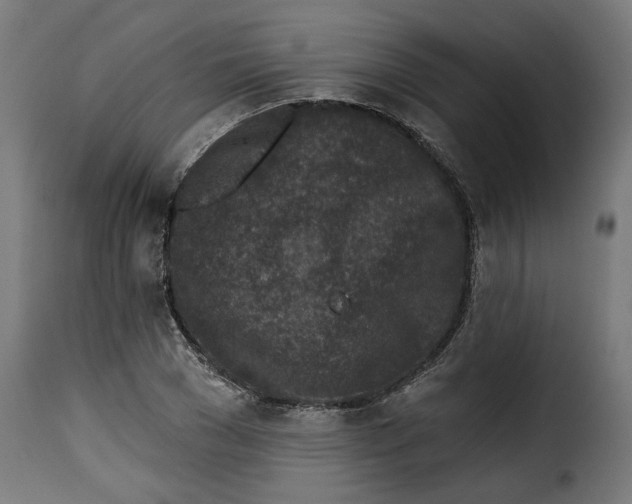 X0000115230977200911201553