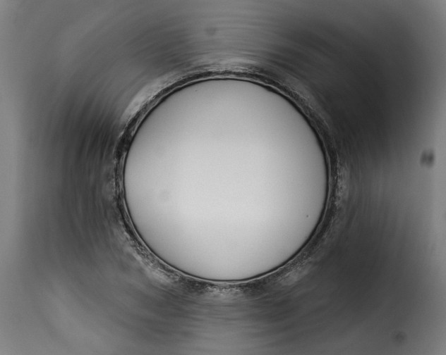 X0000115230978200911201553