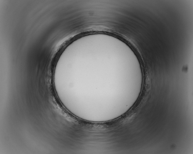 X0000115230979200911201553