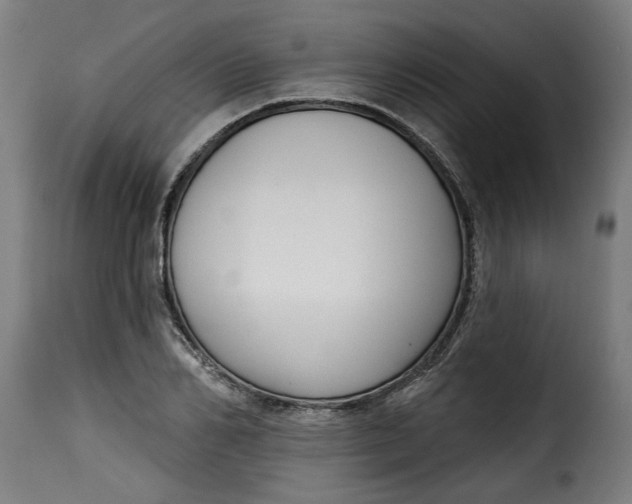 X0000115230982200911201553