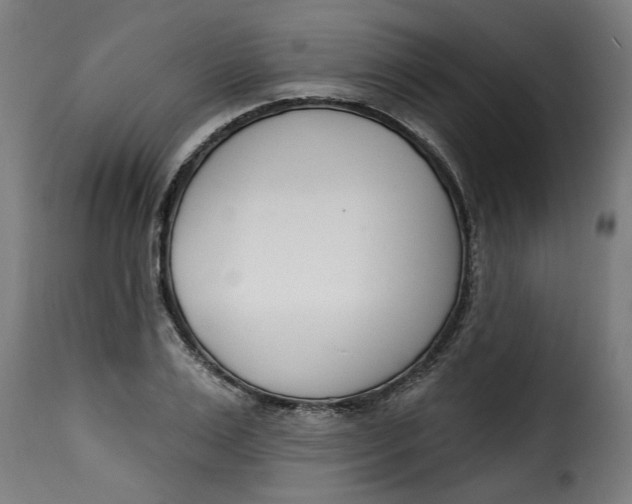 X0000115230983200911201553