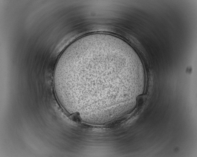 X0000115230985200911201553