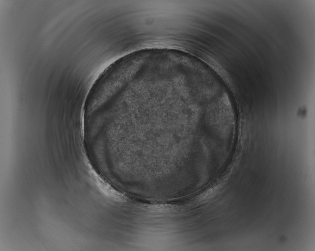 X0000115230988200911201553