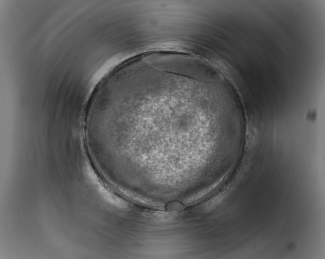 X0000115230989200911201553