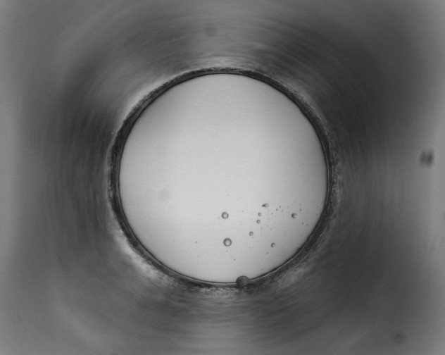 X0000115230991200911201553