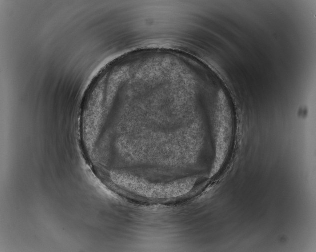 X0000115230992200911201553