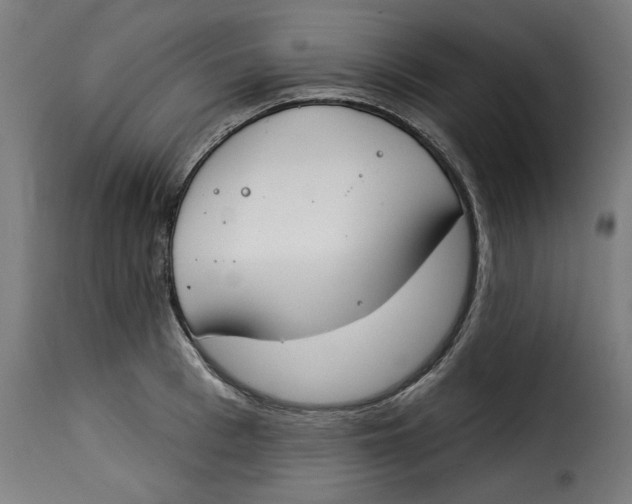 X0000115230993200911201553