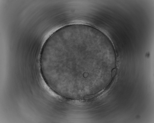 X0000115230995200911201553