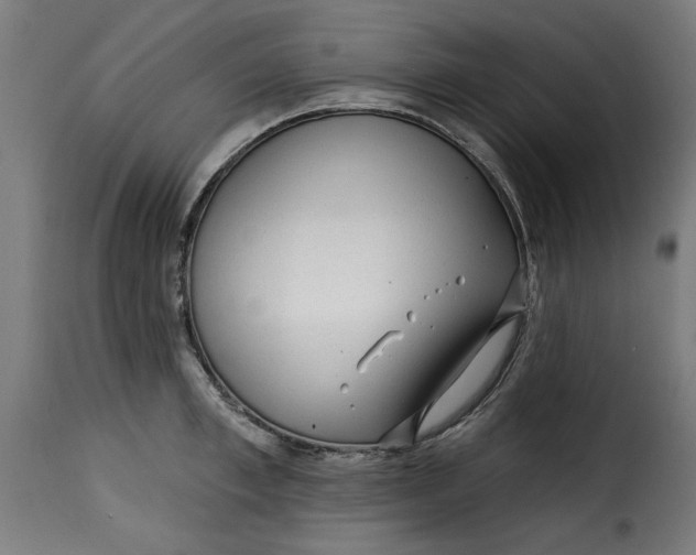 X0000115230997200911201553