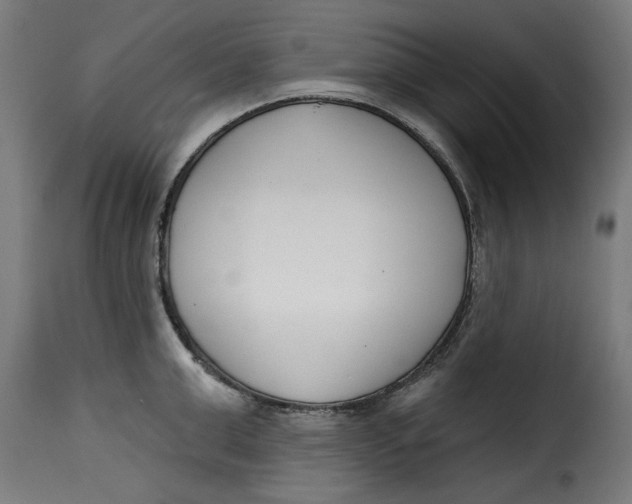 X0000115230999200911201553