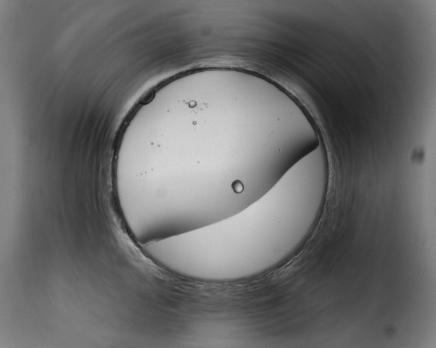 X0000115231000200911201553