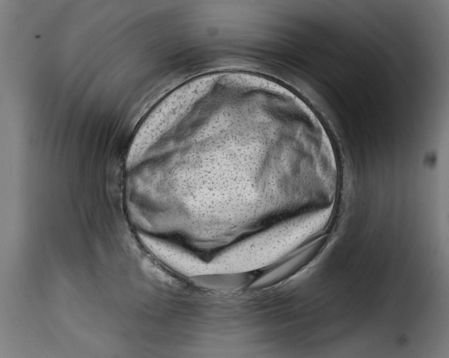 X0000115231001200911201553