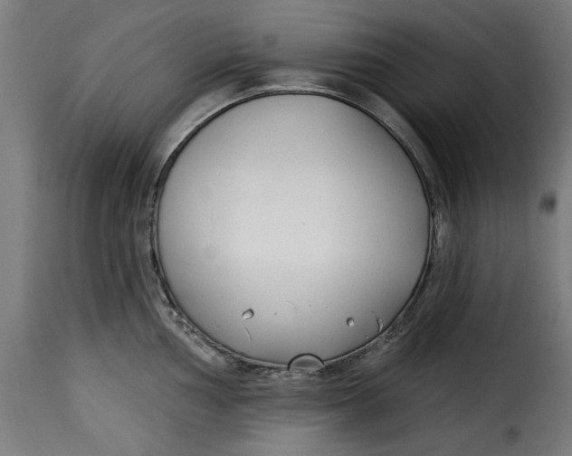 X0000115231002200911201553