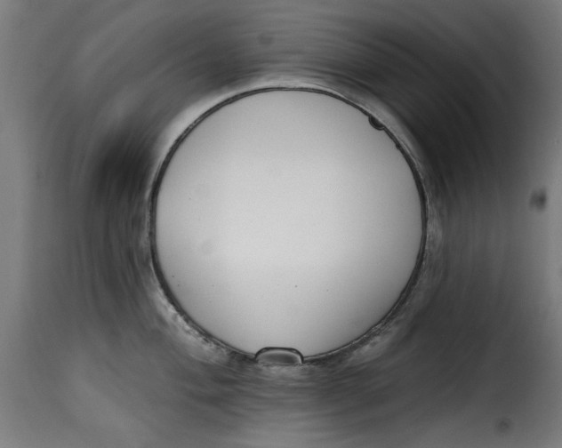 X0000115231004200911201553