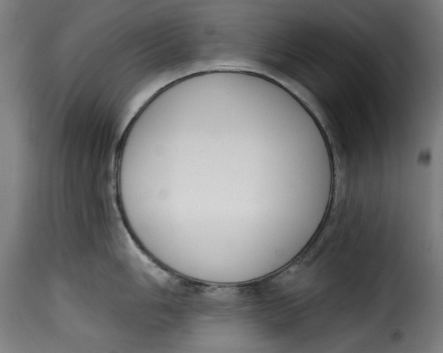 X0000115231006200911201553