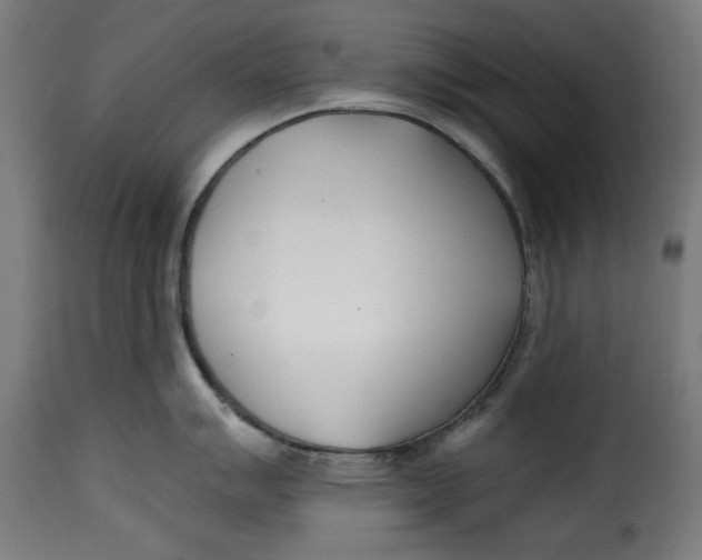 X0000115231007200911201553