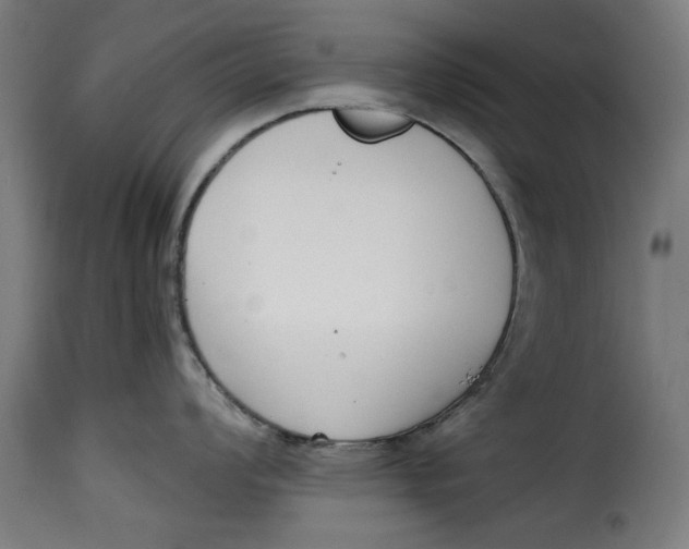 X0000115231008200911201553