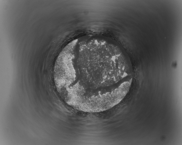 X0000115231009200911201552