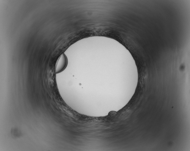 X0000115231010200911201552