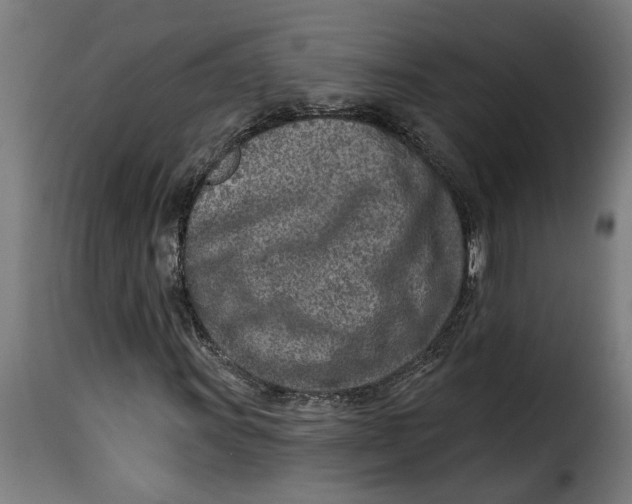 X0000115231011200911201552