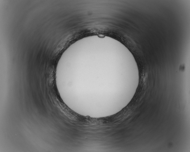 X0000115231012200911201552